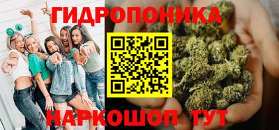каннабис Славгород